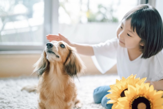 Dachs Field｜鹿児島 ブリーダー
